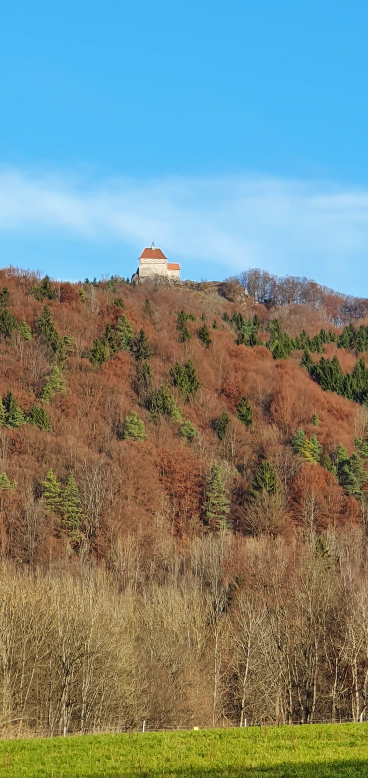 Burg Hohenstein