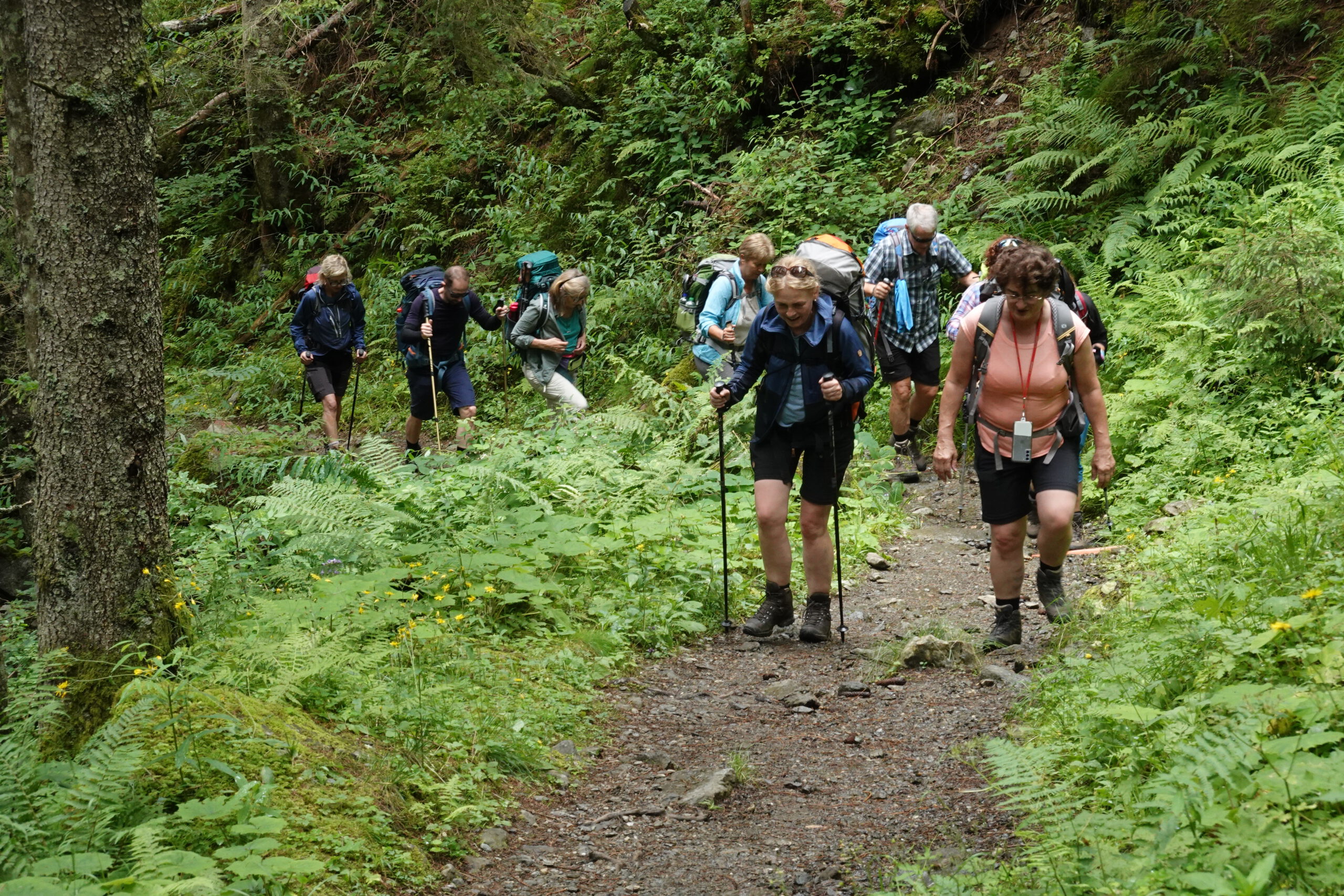 Hüttenzustieg Neue Bamberger Hütte